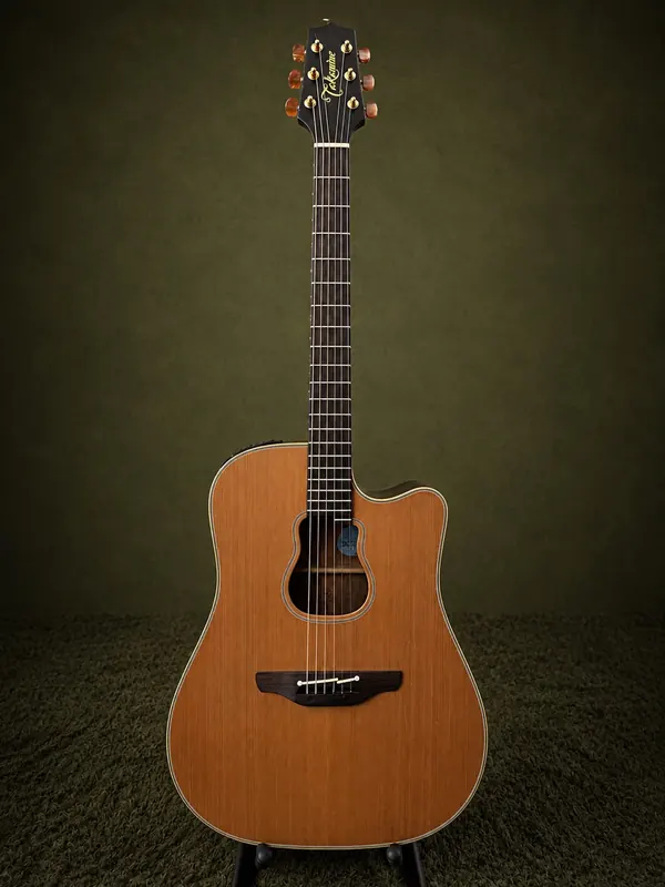 Takamine EAN10C — dreadnought cutaway, cedro, boca oval