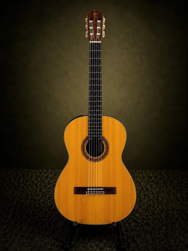 Takamine C132S — clássico, nylon
